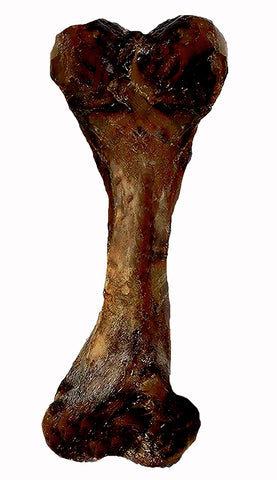 Pork Femur Bone
