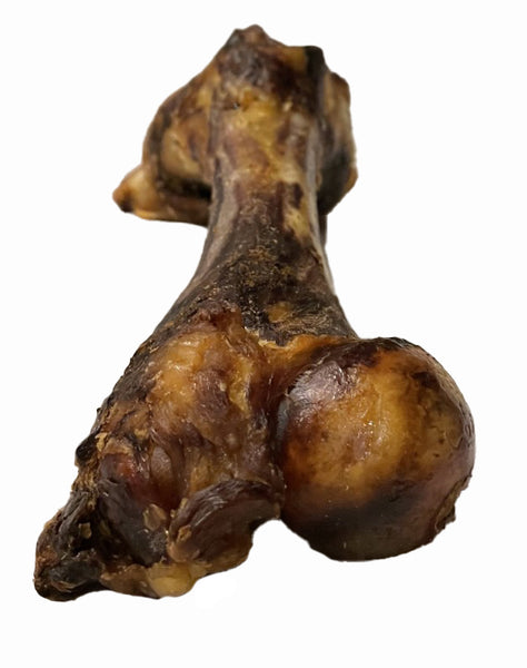 Pork Femur Bone